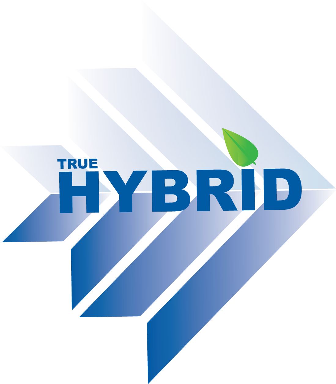 Ommelift true hybrids