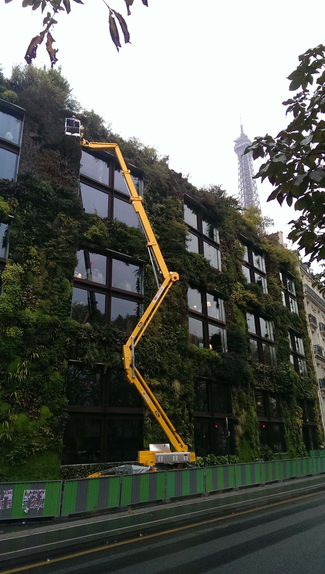 France Ommelift 2750 RXJ pruning 1.jpg