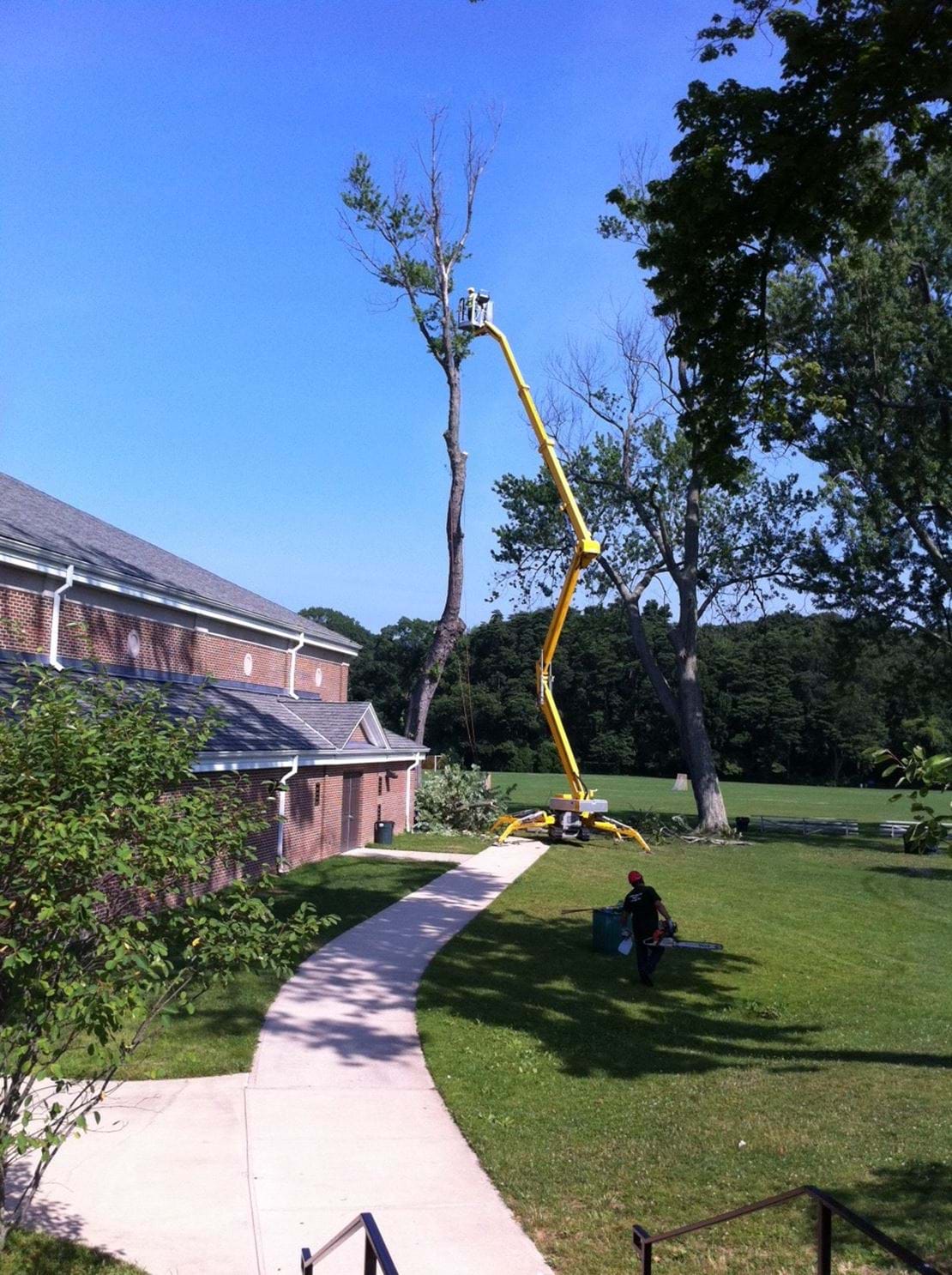 USA Ommelift 2750 RXJ tree 1.JPG