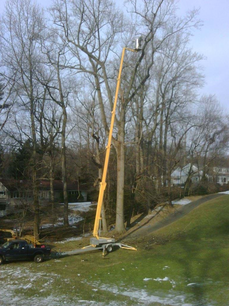 Trailer lift tree work in USA